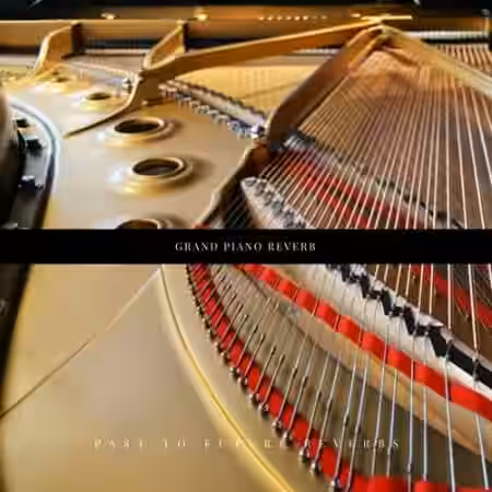 PastToFutureReverbs Grand Piano Reverb! (Steinway B) - Sample Pack Artwork