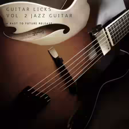 PastToFutureReverbs Guitar Licks Vol.2 Jazz Guitar For Kontakt! [KONTAKT] - Sample Pack Artwork