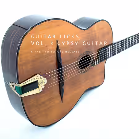 PastToFutureReverbs Guitar Licks Vol.3 Gypsy Guitar For Kontakt! [KONTAKT] - Sample Pack Artwork
