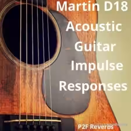 PastToFutureReverbs Martin D-18 Acoustic Guitar - Sample Pack Artwork