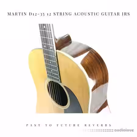 PastToFutureReverbs Martin D12-35 12 String Acoustic Guitar - Sample Pack Artwork