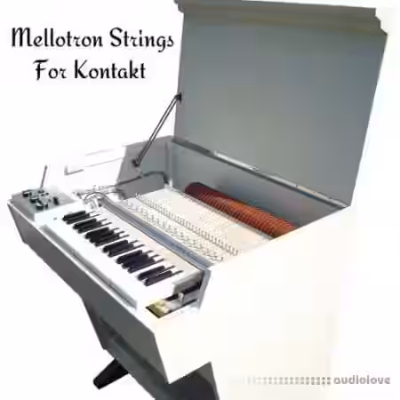 PastToFutureReverbs Mellotron Strings [KONTAKT] - Sample Pack Artwork