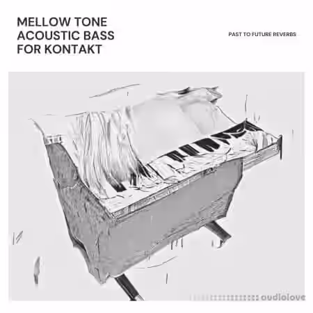 PastToFutureReverbs Mellow Tone Acoustic Bass [KONTAKT] - Sample Pack Artwork