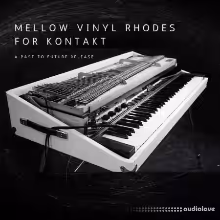 PastToFutureReverbs Mellow Vinyl Rhodes [KONTAKT] - Sample Pack Artwork