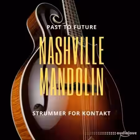 PastToFutureReverbs Nashville Mandolin Strummer [KONTAKT] - Sample Pack Artwork