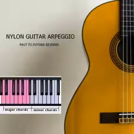 PastToFutureReverbs Nylon Guitar Arpeggio For Kontakt! [KONTAKT] - Sample Pack Artwork