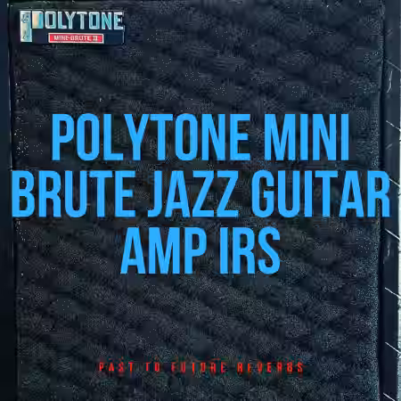 PastToFutureReverbs Polytone Mini Brute Jazz Guitar Amp IR's! - Sample Pack Artwork