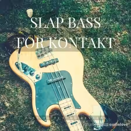 PastToFutureReverbs Slap Bass [KONTAKT] - Sample Pack Artwork