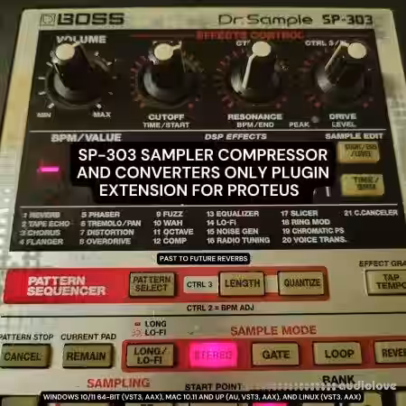 PastToFutureReverbs SP-303 Sampler Compressor Plugin Extension for Proteus! [Synth Presets] - Sample Pack Artwork