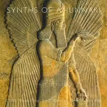 PastToFutureReverbs Synths Of Anunnaki For Kontakt! [KONTAKT] - Sample Pack Artwork