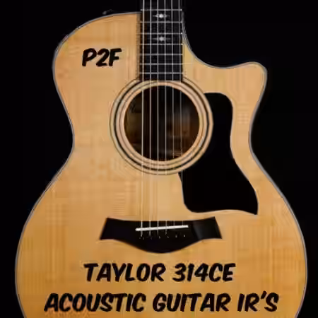PastToFutureReverbs Taylor 314ce Acoustic Guitar Impulse Responses! - Sample Pack Artwork