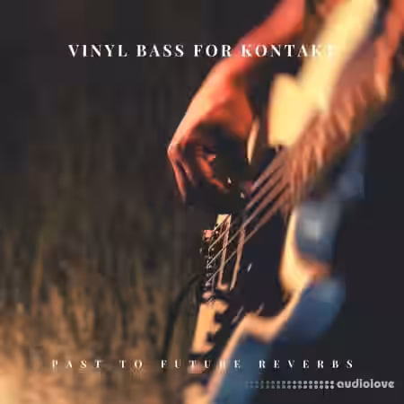 PastToFutureReverbs Vinyl Bass Guitar [KONTAKT] - Sample Pack Artwork