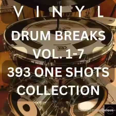 PastToFutureReverbs Vinyl Drum Breaks Vol.1-7 One Shots Collection 393 Vinyl Drums One Shots [WAV] - Sample Pack Artwork
