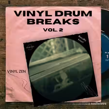 PastToFutureReverbs Vinyl Drum Breaks Vol.2 [WAV] - Sample Pack Artwork