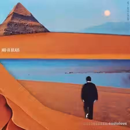 Patchbanks Nu-Fi Beats NFI-BTS-LPS05 [WAV] - Sample Pack Artwork