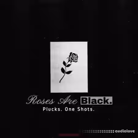 Paul Cabbin Roses Are Black (Sample Pack) [WAV] - Sample Pack Artwork