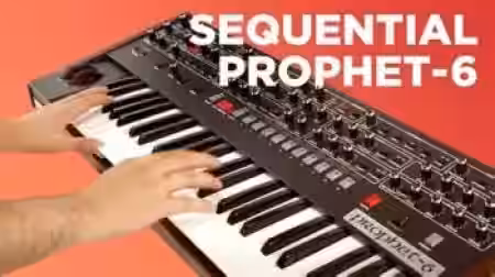 Paul Dither's Prophet-6 Patches [Synth Presets] - Sample Pack Artwork
