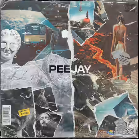 PeeJay Volume II (Drum Kit) [WAV] - Sample Pack Artwork