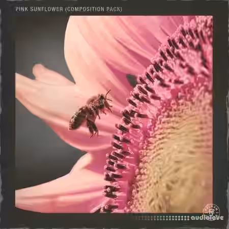 Pelham and Junior Pink Sunflower Vol.1 (Compositions and Stems) [WAV] - Sample Pack Artwork