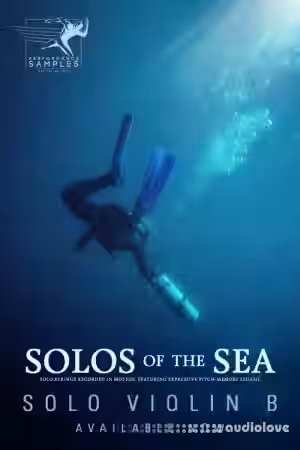 Performance Samples Solos of the Sea Solo Violin B [KONTAKT] - Sample Pack Artwork