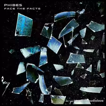 Phibes January 2023 DROP NOW LIVE! Face the Facts [WAV] - Sample Pack Artwork
