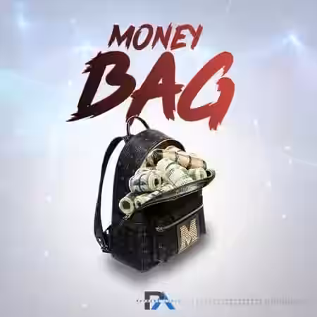 Phyness Audio Money Bag [WAV] - Sample Pack Artwork