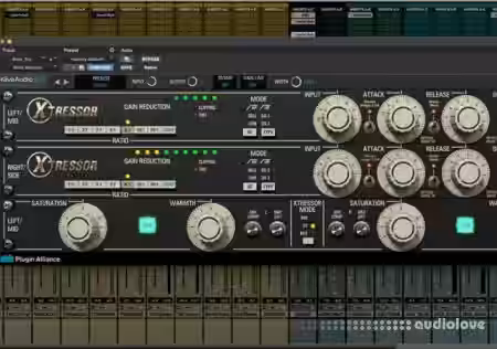 Plugin Alliance Kiive Audio Xtressor v1.0.1 [MacOSX] - Sample Pack Artwork