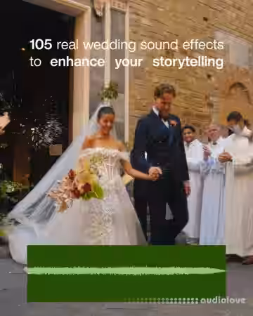 Plus Two Store Wedding SFX [WAV] - Sample Pack Artwork