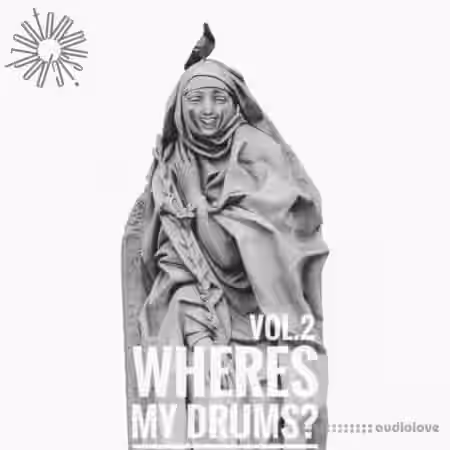 Podzontommusic Wheres my drums Vol.2 [WAV, Maschine] - Sample Pack Artwork