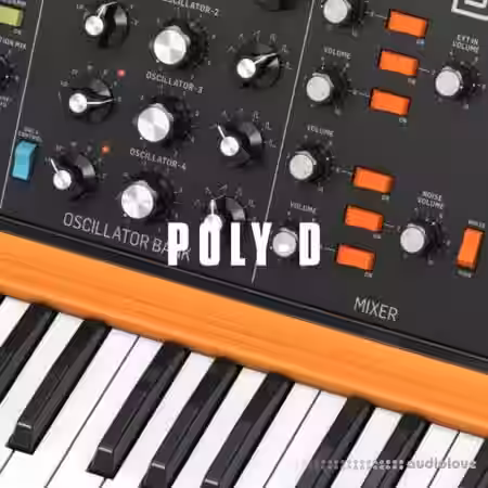 Polarity Music Poly-D Sampler Presets [Synth Presets] - Sample Pack Artwork