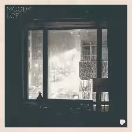 Poldoore Moody LoFi Sample Pack [WAV] - Sample Pack Artwork