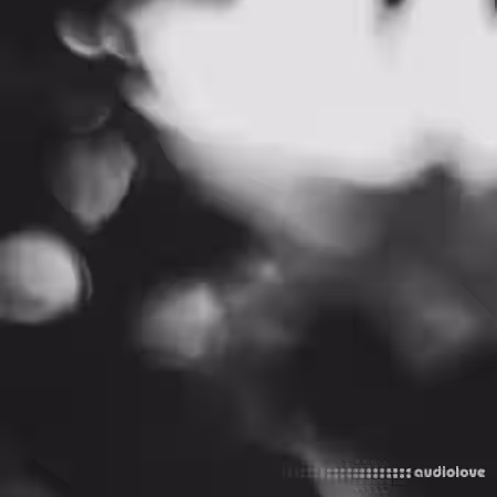 Polyend Bliss Chords [WAV] - Sample Pack Artwork