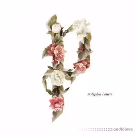 Polyphia Muse Guitar Tabs - Sample Pack Artwork