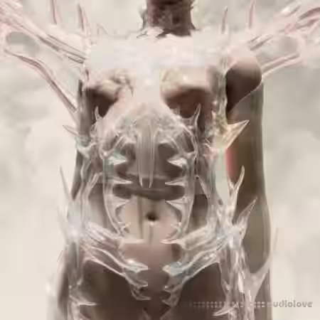 PolyphiaTabs Polyphia Neurotica Tabs [Synth Presets] - Sample Pack Artwork