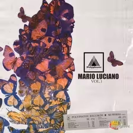 Polyphonic Music Library Mario Luciano Vol.1 [WAV] - Sample Pack Artwork
