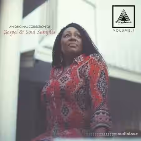 Polyphonic Music Library Vol.1 [WAV] - Sample Pack Artwork