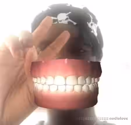 Prblm kit 2.0 [WAV, Synth Presets] - Sample Pack Artwork