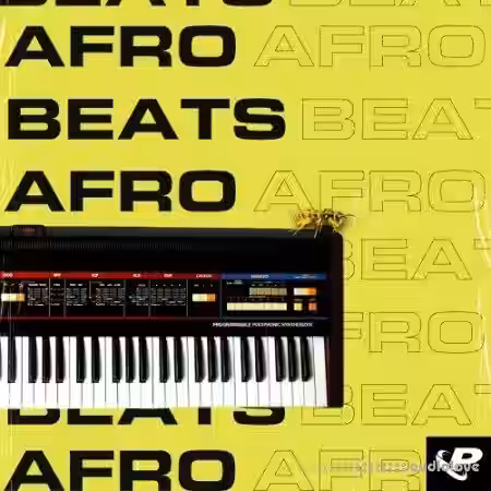 Prime Loops Afrobeats [WAV] - Sample Pack Artwork