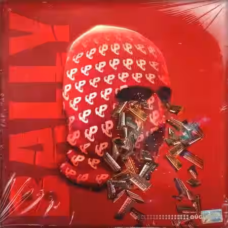 Prime Loops Bally [WAV] - Sample Pack Artwork