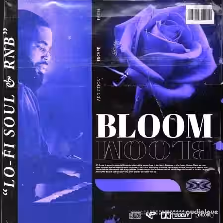 Prime Loops BLOOM RnB Soul Keys [WAV] - Sample Pack Artwork