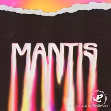 Prime Loops Mantis [WAV] - Sample Pack Artwork