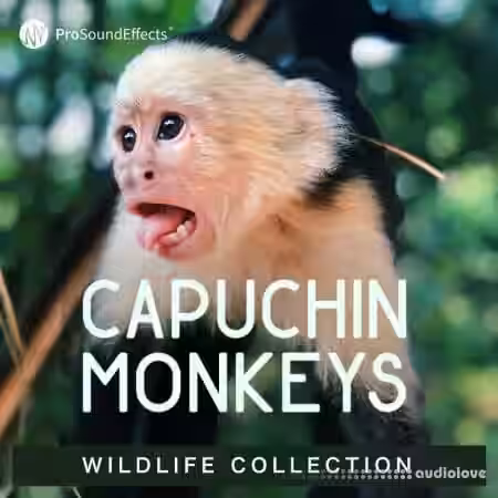 Pro Sound Effects Wildlife Collection Capuchin Monkeys [WAV] - Sample Pack Artwork
