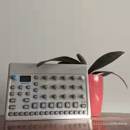 Problem Model Cycles Drum Samples [WAV] - Sample Pack Artwork