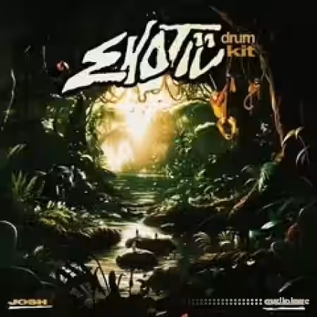 Prod. Josh Bae exotic drum kit [WAV] - Sample Pack Artwork