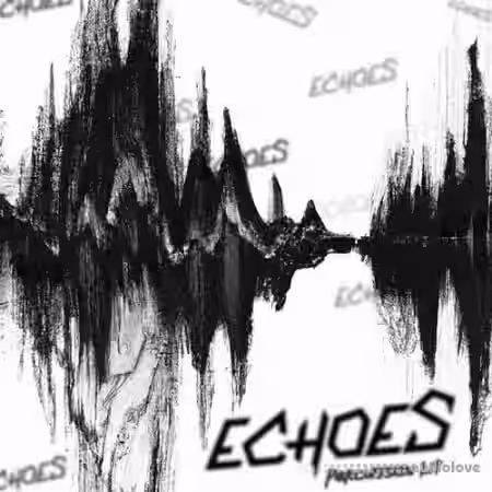 prodbyloner Echoes Percussion Kit [WAV] - Sample Pack Artwork