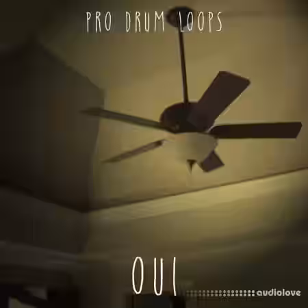 ProDrumLoops Oui [AiFF] - Sample Pack Artwork