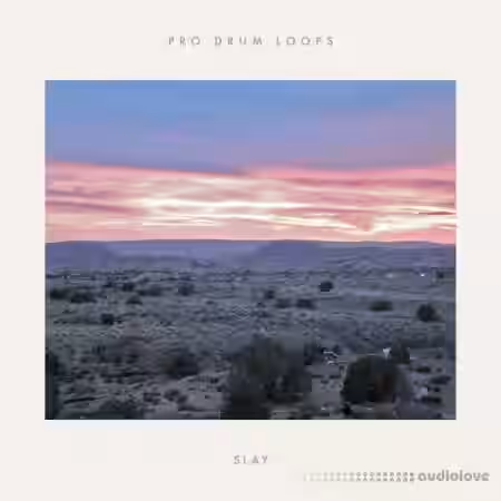 ProDrumLoops Slay [AiFF] - Sample Pack Artwork