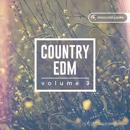 Producer Loops Country EDM Vol.3 [MULTiFORMAT] - Sample Pack Artwork