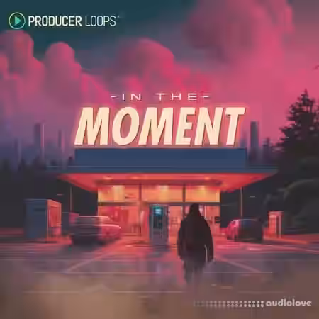 Producer Loops In The Moment [MULTiFORMAT] - Sample Pack Artwork