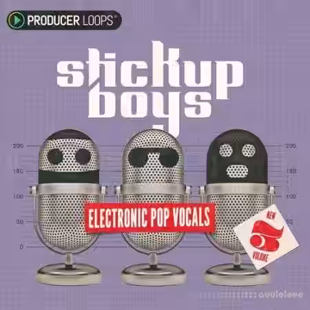 Producer Loops Stick Up Boys Electronic Pop Vocals Vol.3 [WAV, MiDi] - Sample Pack Artwork